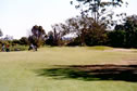 indooroopilly golf course 12th before