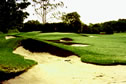 indooroopilly golf course 12th after